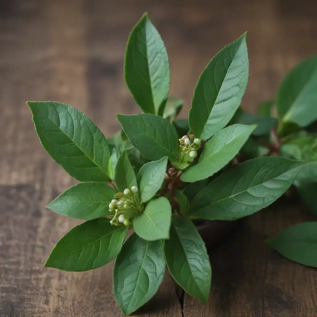 Relieve Aches With Wintergreen