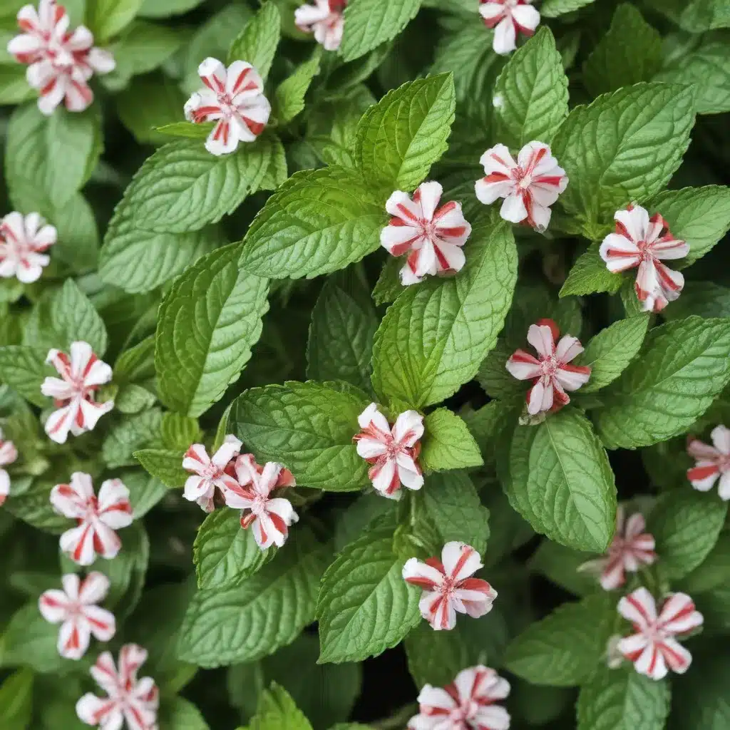 Tackle Tough Odors With Peppermint Power